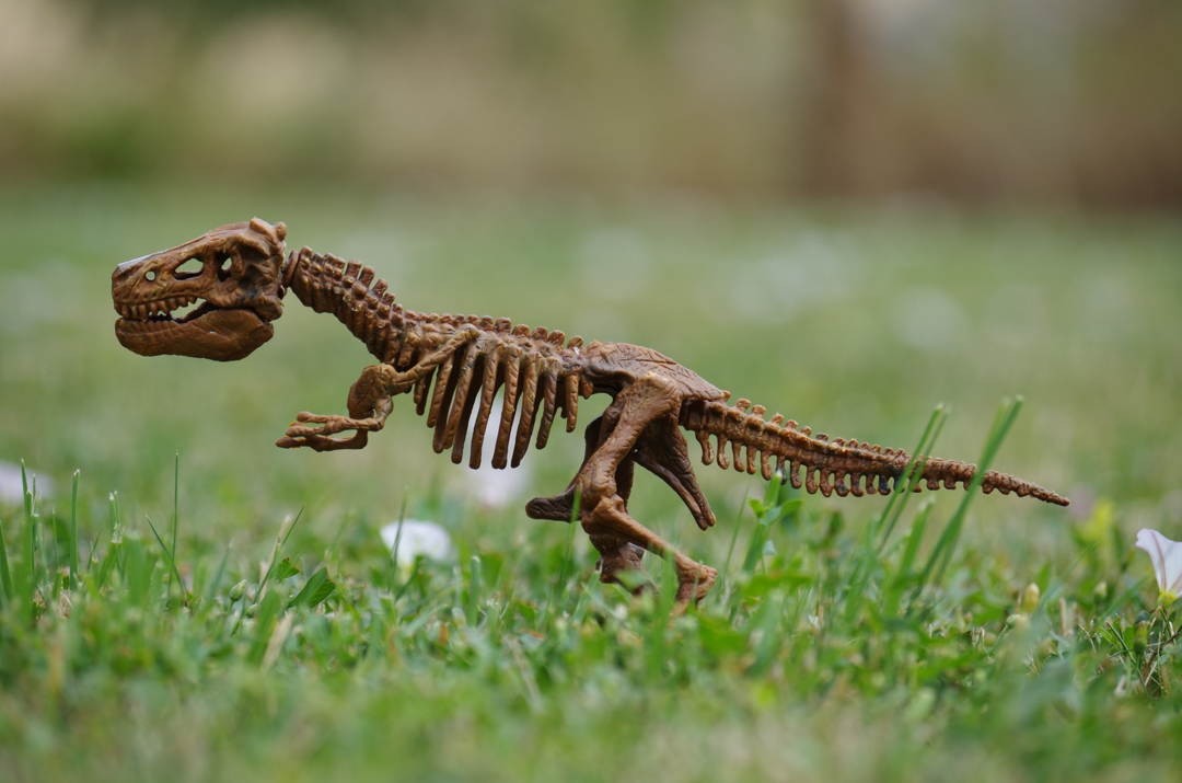 Dinosaur UK