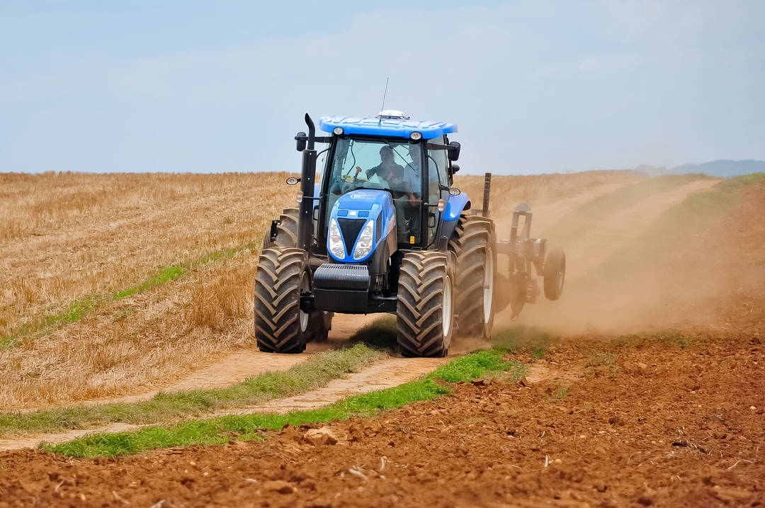 Farmerzy w UK